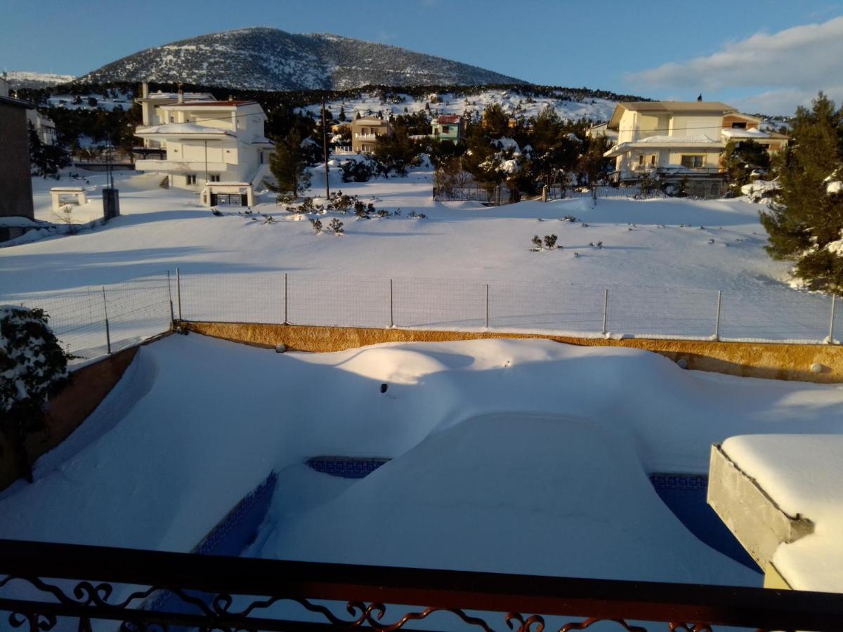 Hotel Xenonas Κithαiron Vília Esterno foto